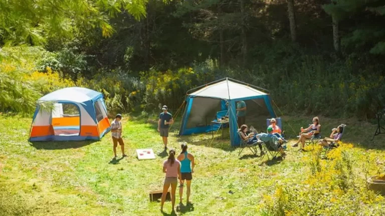How to Keep Bugs Away While Camping