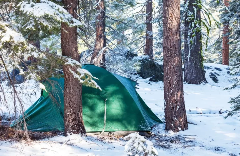 Embrace the Chill: The Ultimate Guide to Winter Camping