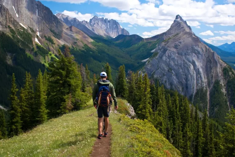 The Best Comprehensive Guide to Hiking, Trekking, and Backpacking